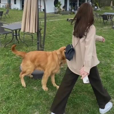 狂花梦路